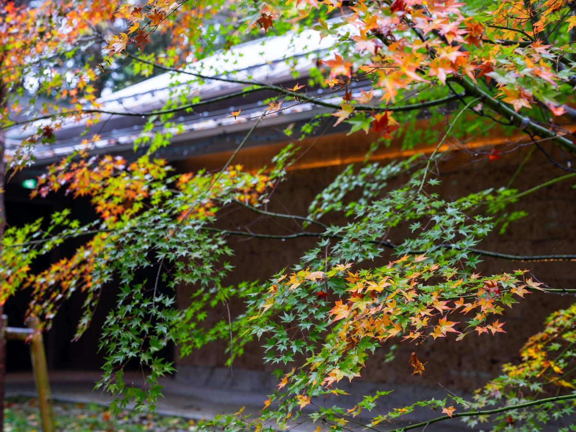 Hotel Nikko Nishimachi Club Zewnętrze zdjęcie